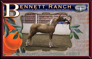 Click here to view the Bennett Ranch Web site.